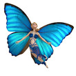 elf butterfly is flying