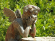 Photo: figure of angel - detail of the fountain in garden of Villa Peyr figure of angel - detail of the fountain in garden of Villa Peyr