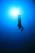 Free Diver