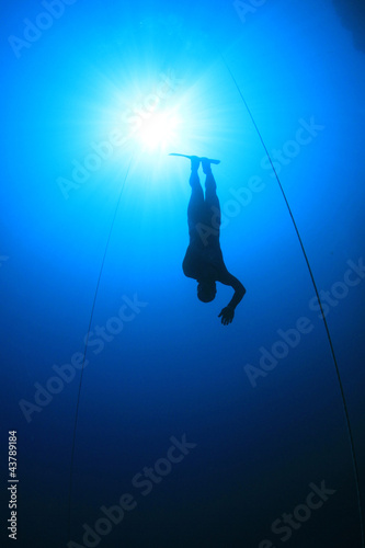 Photo: Free Diver Free Diver