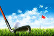 Foto: Golf ball with tee in the grass Golf ball with tee in the grass