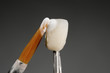 brush, dental crown, applying ceramic material