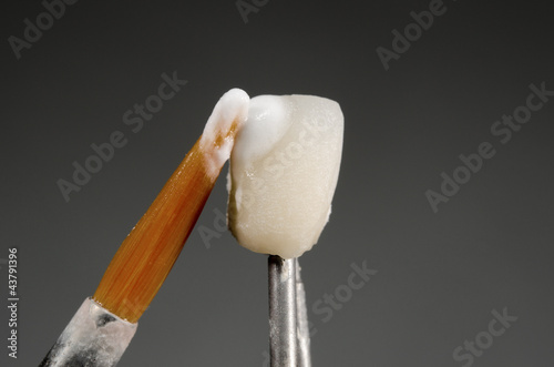Foto: brush, dental crown, applying ceramic material brush, dental crown, applying ceramic material