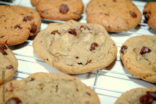 Foto: Cooling Cookies Cooling Cookies