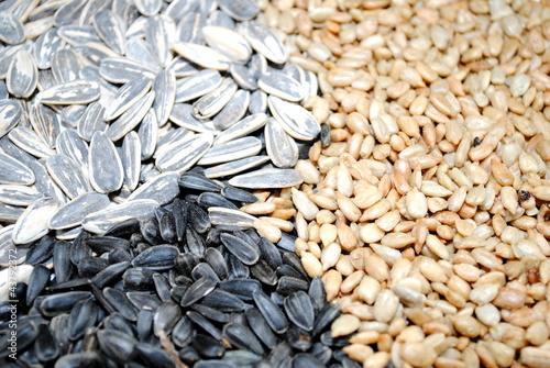 Photo: Assortment of Sunflower Seeds Assortment of Sunflower Seeds