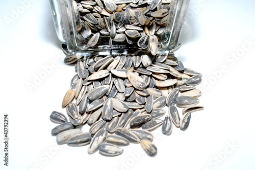 Photo: Sunflower Seeds Spilling Out of a Jar Sunflower Seeds Spilling Out of a Jar