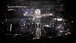 This animation is inspired by Leonardo Da Vinci's The Vitruvian