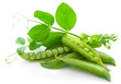 Fresh, green, sweet peas with young, green leaves