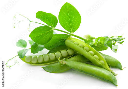 Photo: Fresh, green, sweet peas with young, green leaves Fresh, green, sweet peas with young, green leaves