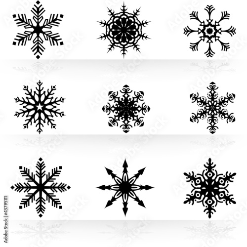 Illustration: Snowflakes Set Snowflakes Set