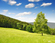 Spring landscape in the national park Sumava - Czech Republic