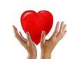 heart between hands