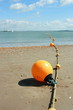 estuaire de la gironde