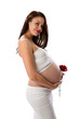 Beautiful pregnant lady