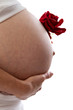 Close Up studio shot of pregnant belly