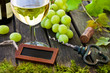 Wein