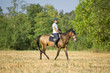 Riding a stroll through the fields in the nature
