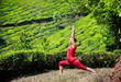 Yoga warrior pose in tea plantations