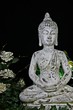 Buddha, der Erleuchtete
