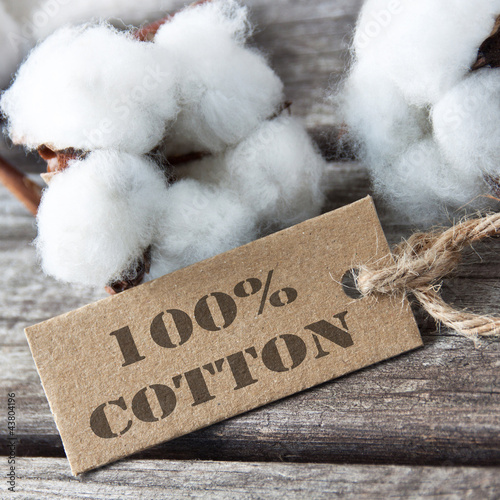 Photo: Baumwolle - Cotton Baumwolle - Cotton