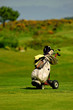 partie de golf