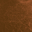 Leather Texture