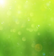 background bokeh