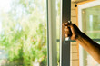 plastic windows with mosquito nets