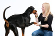 Junge Frau mit Dobermann