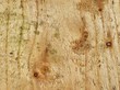 holz