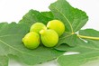 figs