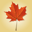 Vektor: Herbstblätter Herbstblätter