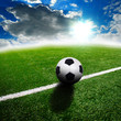 ball on the green field