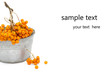 Ash berry bunch in old metallic bowl on white background