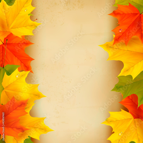 Vektor: Autumn background with leaves Back to school illustration Autumn background with leaves Back to school illustration