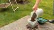 Video: Filling a Bird Feeder Filling a Bird Feeder