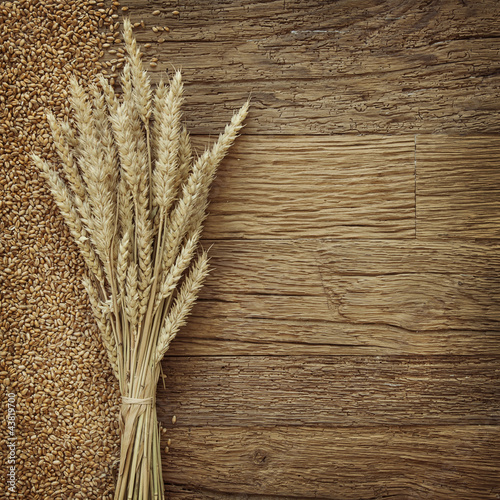 Foto: Wheat Wheat