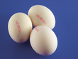 Eier