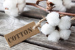 Cotton