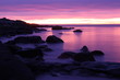 Purple winter shore