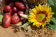 red organic potatoes