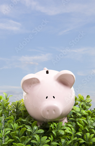 Photo: Piggy bank over blue sky Piggy bank over blue sky