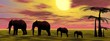 elephants