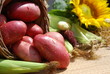 red organic potatoes