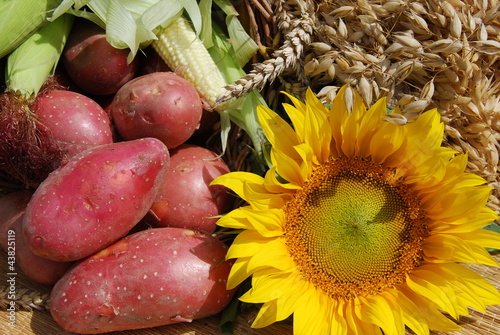 Photo: red organic potatoes red organic potatoes