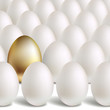 Gold Vector Egg Concept