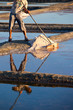 Sel de Noirmoutier en Vendée