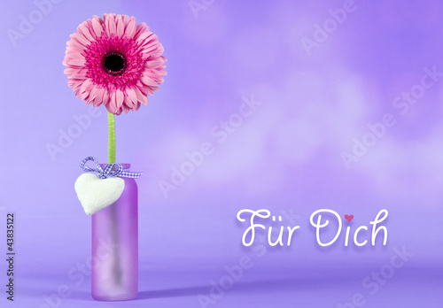 Foto: Eine Blume für Dich Eine Blume für Dich