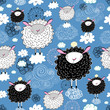 texture of the sheep