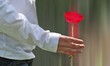 Photo: je t'offre une fleur je t'offre une fleur